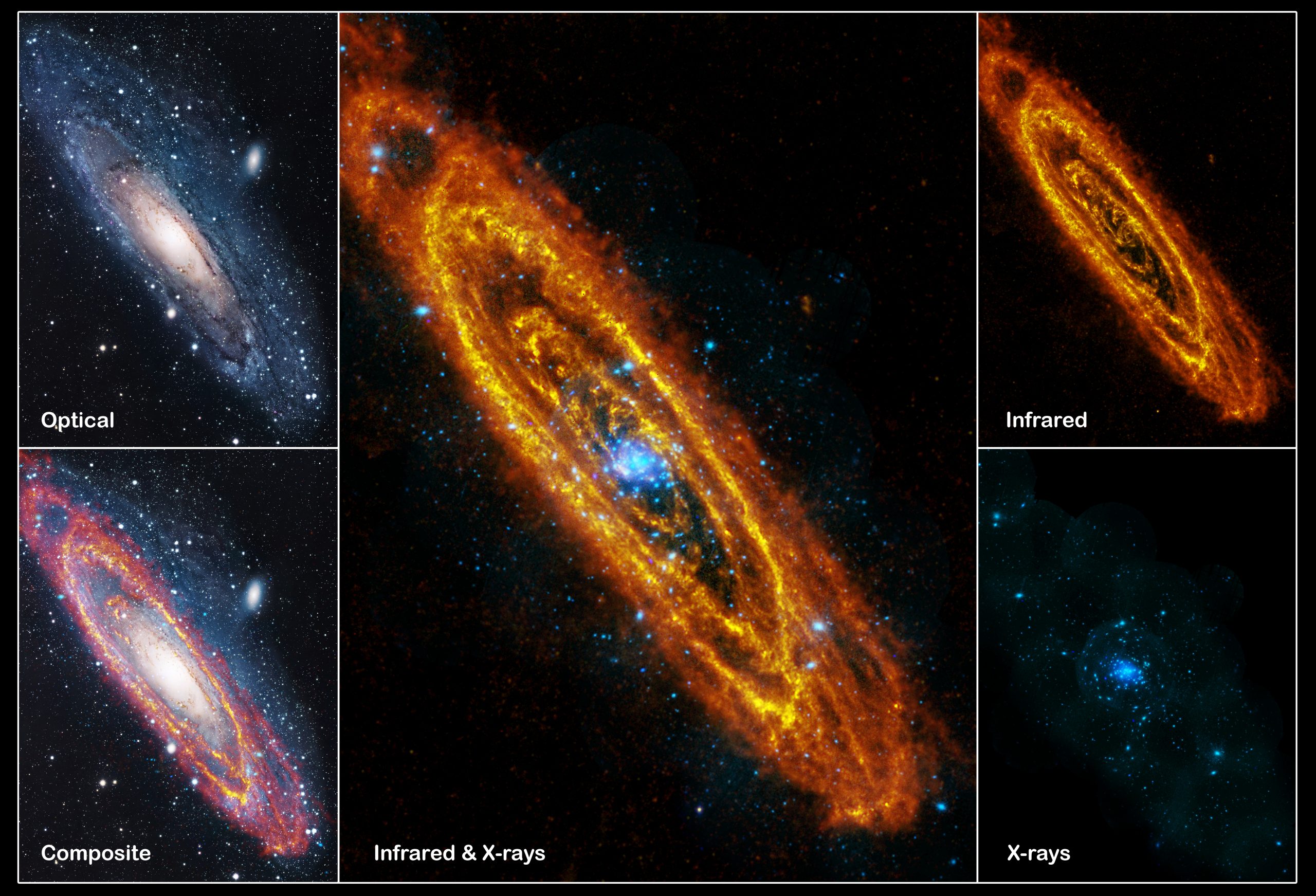 Het meest nabije grote sterrenstelsel (M31) staat in het sterrenbeeld Andromeda en is bij verschillende golflengten in beeld gebracht