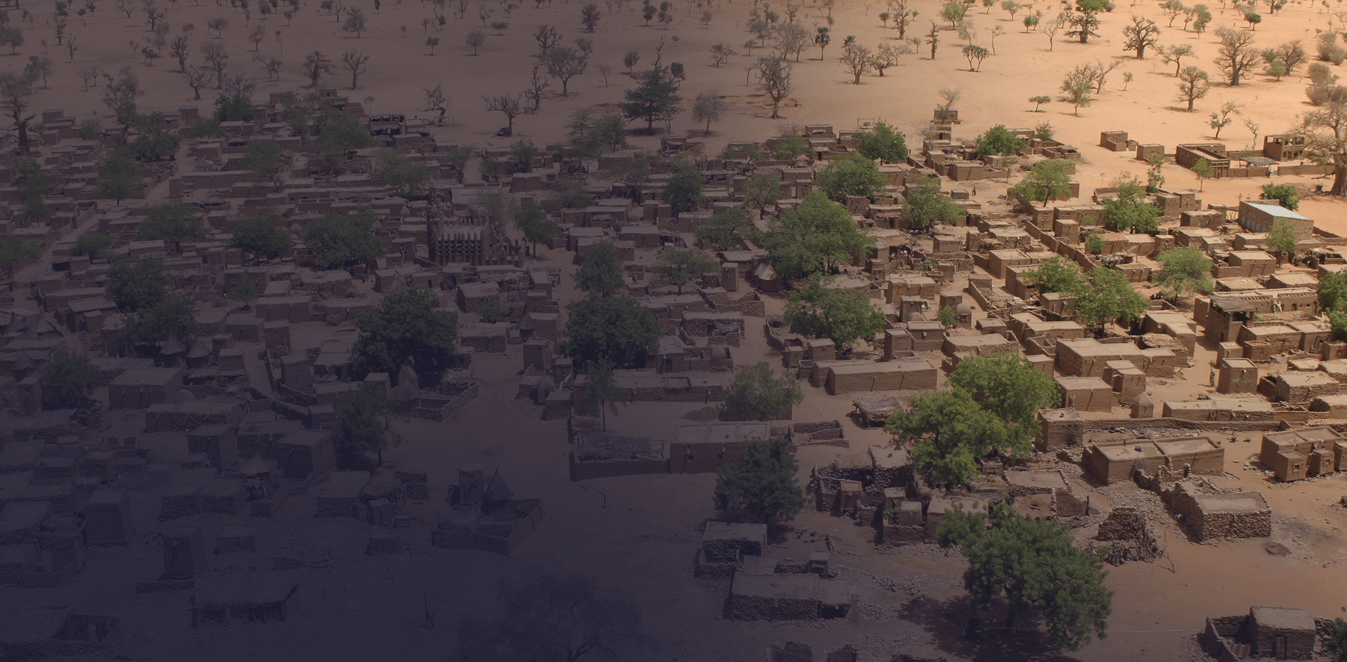 Hoe beïnvloedt klimaatverandering het leven op&nbsp;aarde?